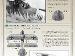 32904 1-32 Albatros D.V Camouflaged Page 4